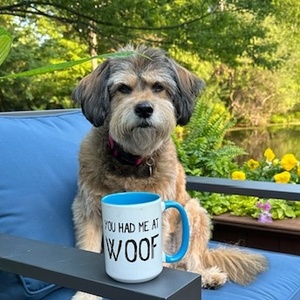 Fundraising Page: Julie Schechter